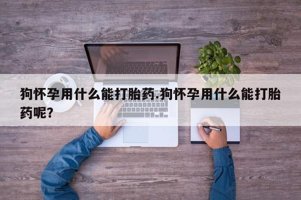 流产药在线付款狗怀孕用什么能打胎药.狗怀孕用什么能打胎药呢？