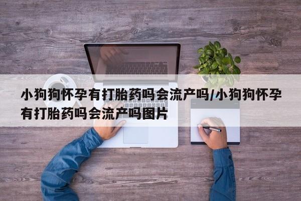 流产药在线付款小狗狗怀孕有打胎药吗会流产吗/小狗狗怀孕有打胎药吗会流产吗图片