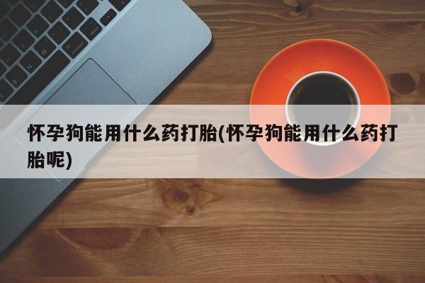 流产药在线付款怀孕狗能用什么药打胎(怀孕狗能用什么药打胎呢)